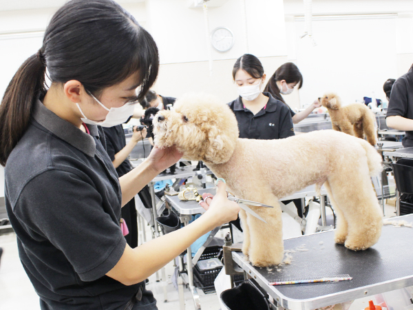 本日もかわいいお客様が来校♪